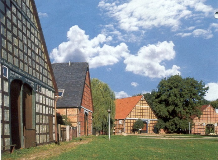 drzew_05.jpg